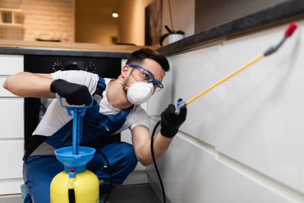Best Best Pest Control Companies  in Bay Harbor Islands, FL