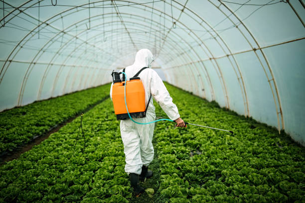 Best Commercial Pest Control Services  in Bay Harbor Islands, FL