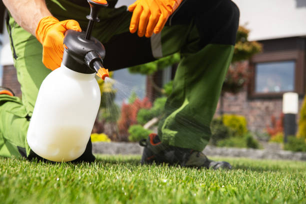 Best Local Pest Control Services  in Bay Harbor Islands, FL