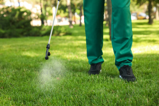 Reliable Bay Harbor Islands, FL Pest Control Solutions