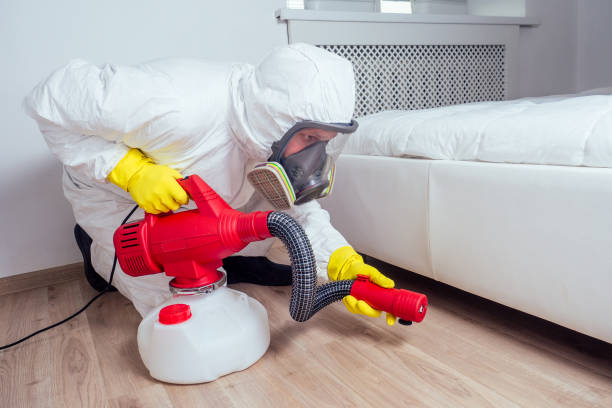 Best Pest Control Near Me in Bay Harbor Islands, FL