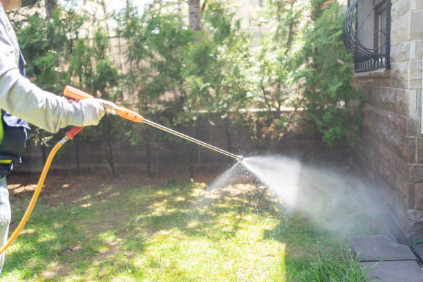 Best Wasp Removal Services  in Bay Harbor Islands, FL