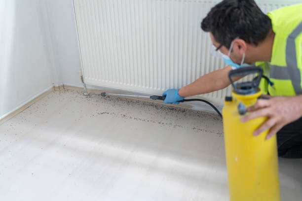 Best Residential Pest Control  in Bay Harbor Islands, FL